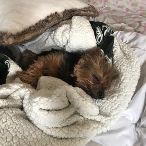 Meet your Posher, Anna